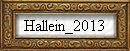 Hallein_2013